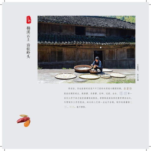 田园舞集·诗酒花茶 楠溪江文化旅游节，秋舟载满农家情