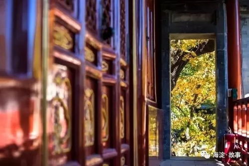 西山文化带之大觉寺 访千年古刹，品万事春秋