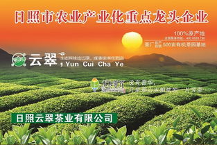 秋韵满城，茶香四溢——第三届青岛中秋文化节暨秋季茶博会在农展中心开幕